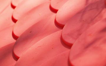 Duncrievie plastic roof costs