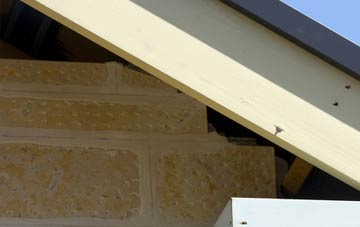 soffit repair Duncrievie